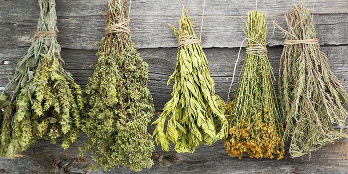 herbes pour traiter l'arthrose de l'épaule